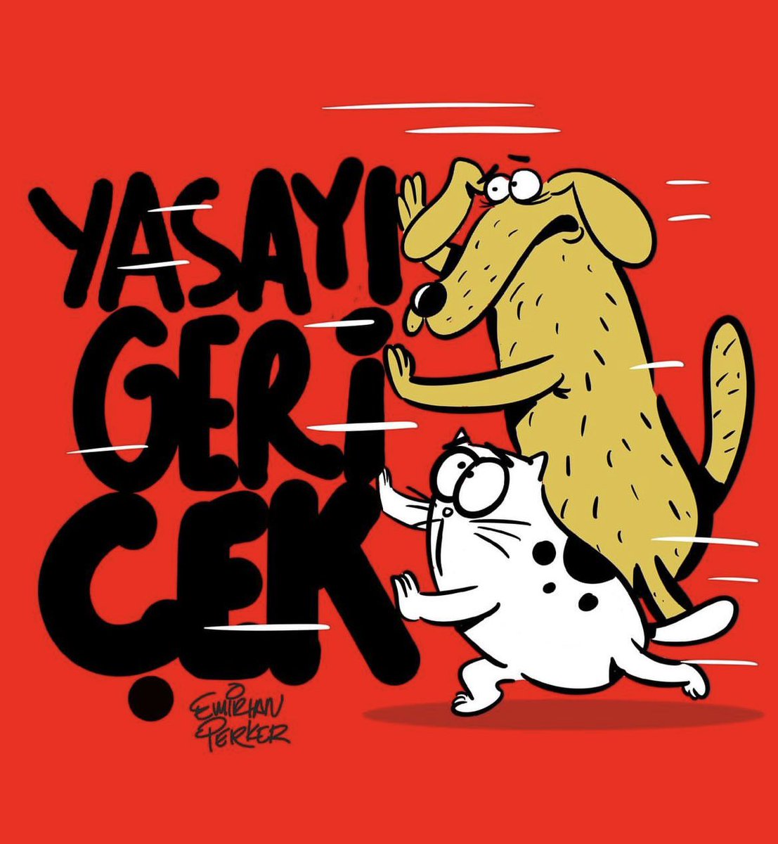 Adaletsizlik insanları, hayvanları, ormanları, sözün özü hayatı yok eder! Katliamı, öldürmeyi, cana kıymayı bir sorun karşısında çözüm sanan zihniyetten geleceğimizi kurtarmak umuduyla…
