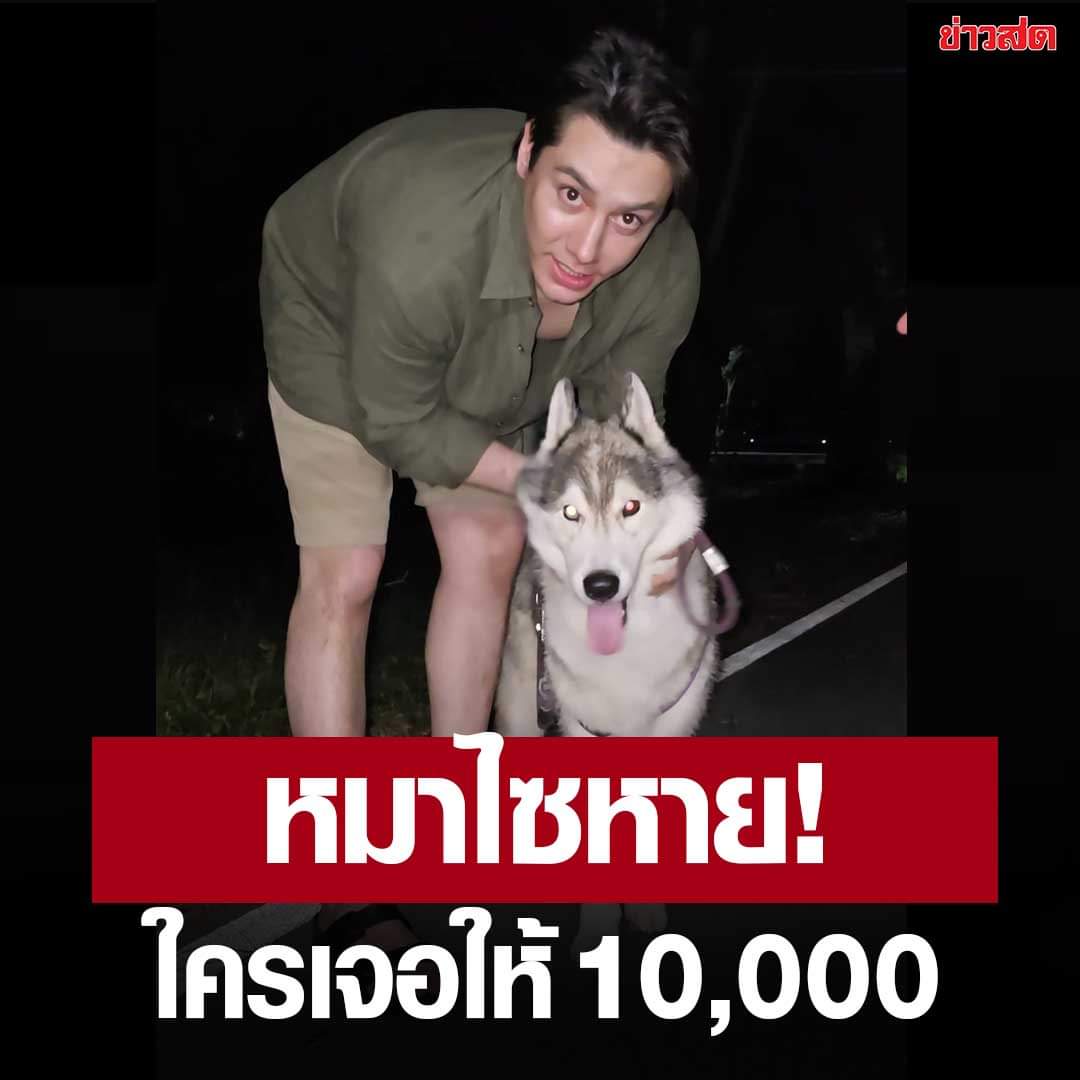 KhaosodEnglish's tweet photo. (2/2) It has heterochromia (one blue eye and one brown eye). The dog went missing around 1 a.m. July 18, in around Phutthamonthon Park, Salaya, Nakhon Pathom Province. You can contact the owner at 061-415-9591. #DogMissing #doglover #siberianhusky #nakhonpathom #thailand https://t.co/lSyLkxK9FF