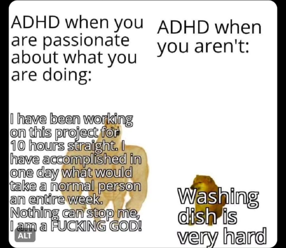ADHD Memes (@adhdforreal) on Twitter photo 