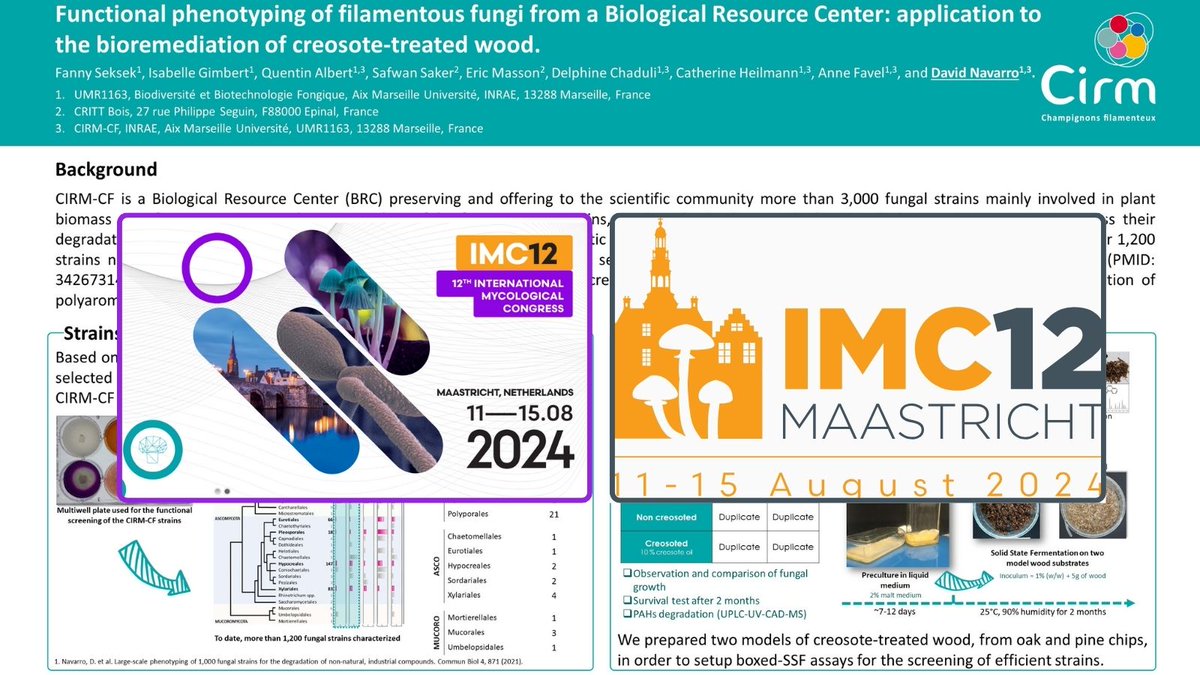Looking forward to Maastricht this summer at <a href="/IMC12NL/">12th International Mycological Congress (IMC12)</a> !  Come and meet the Biological Resource Centre <a href="/CirmFungi/">CIRM-Filamentous Fungi</a> from <a href="/BBF_lab/">BBF_Marseille</a> 
<a href="/INRAE_PACA/">INRAE Provence-Alpes-Côte d'Azur</a> <a href="/INRAE_DPT_MICA/">INRAE Microbiologie et Chaîne Alimentaire</a> <a href="/INRAE_TRANSFORM/">INRAE TRANSFORM FoodBioprodWasteEng</a> @_3BCAR