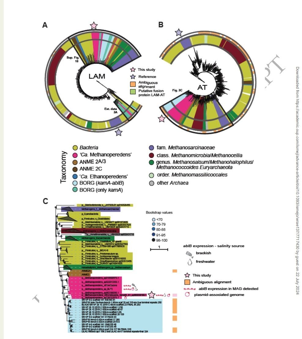 Mike Jetten🟥 (@msmjetten) on Twitter photo Congratulations 🎉 🎉 to .<a href="/maiecheveste/">Maider Echeveste</a> et al.. : Osmoregulation in freshwater anaerobic #methane oxidizing archaea under salt stress
#methanoperedens. .<a href="/SIAMmicrobes/">SIAM-microbiology</a>
Collaboration <a href="/tudelft/">TU Delft</a> queensland uni of technol cmr
#nicrobiology .@RIBESresearch academic.oup.com/ismej/advance-… Congratulations 🎉 🎉 to .<a href="/maiecheveste/">Maider Echeveste</a> et al.. : Osmoregulation in freshwater anaerobic #methane oxidizing archaea under salt stress
#methanoperedens. .<a href="/SIAMmicrobes/">SIAM-microbiology</a>
Collaboration <a href="/tudelft/">TU Delft</a> queensland uni of technol cmr
#nicrobiology .@RIBESresearch academic.oup.com/ismej/advance-…