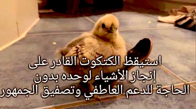 Egyptianmemees's tweet photo. كل صباح https://t.co/5tqIukJvtf