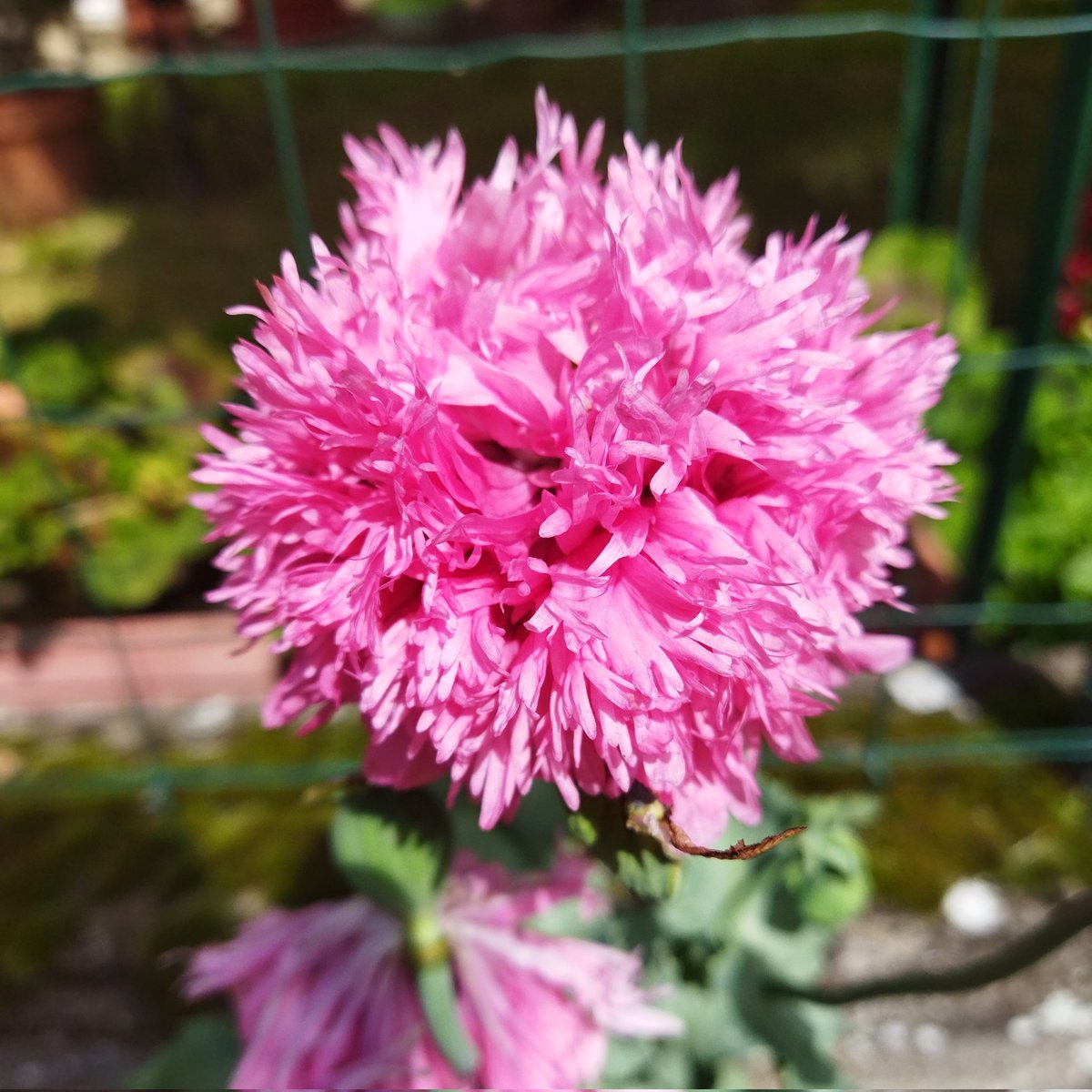 #NouvellePhotoDeProfil