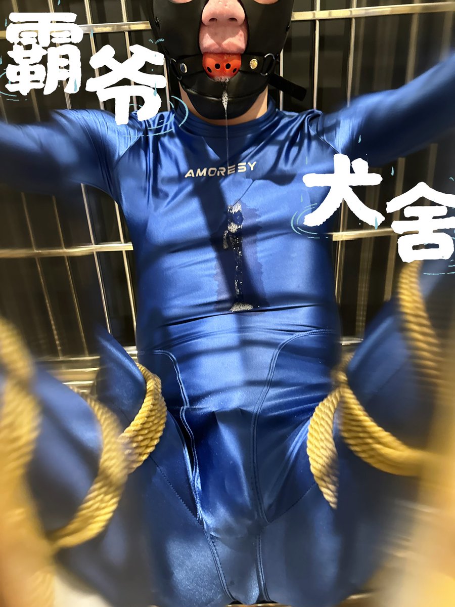 每一只狗狗都幻想住进一个大房子里面去！那欢迎来犬舍过夜！