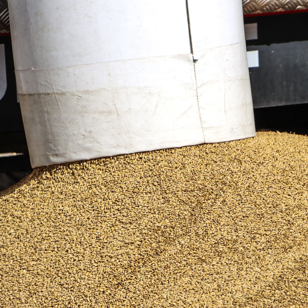 Harvest is here... 🌾 

The first loads of winter barley have started to arrive at our malting and grain storage sites across the UK 📍 

That means it's all systems go for the next few months, with around 350,000 tonnes of malting barley set to be delivered into our stores 🚛