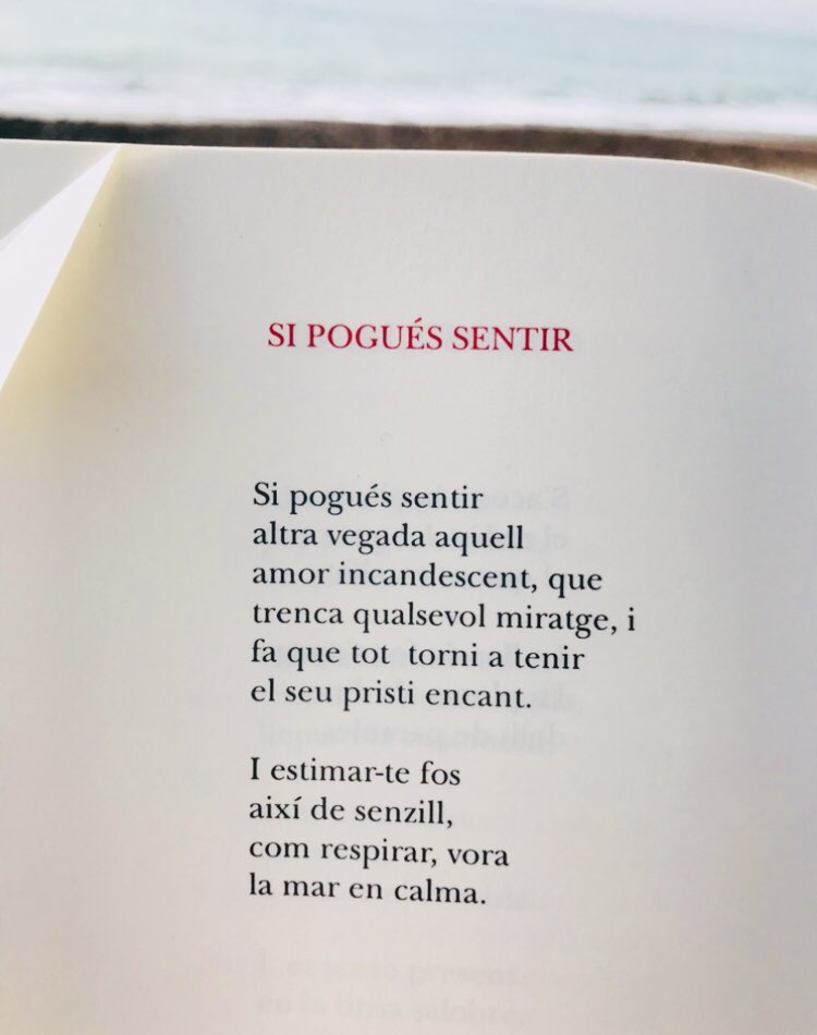 AlmelaVicent's tweet image. Montserrat Abelló, El fred íntim del silenci.