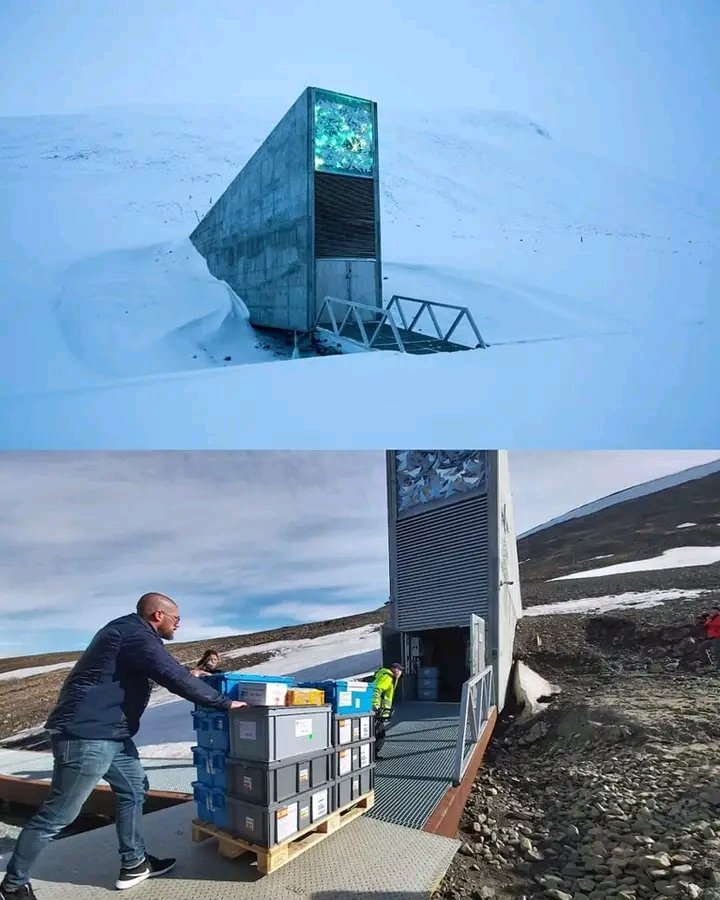 This is the vault at the end of the world where all the existing seeds on the planet are kept. It is located in the Svalbard archipelago, Norway, about 1,300 kilometers from the North Pole. Opened in 2008, this underground warehouse is designed to preserve 4.5 million seeds