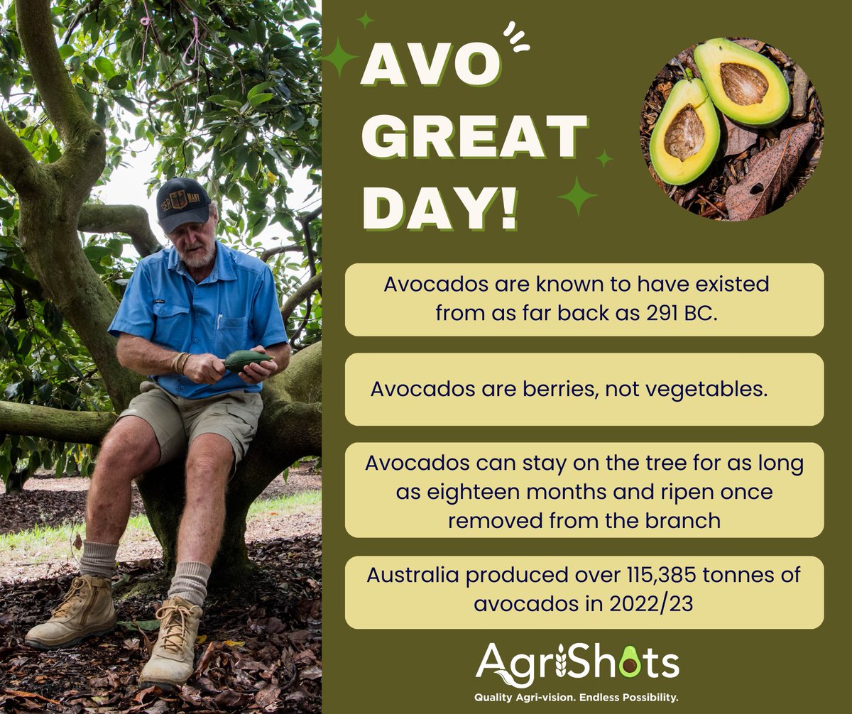 Get ready to avo good time—where every bite is worth its weight in green gold.

Cheers to National Avo Day! 🥑

#AvocadoLove #NationalAvoDay #AustralianProduce #farmtotablefresh #australianavo