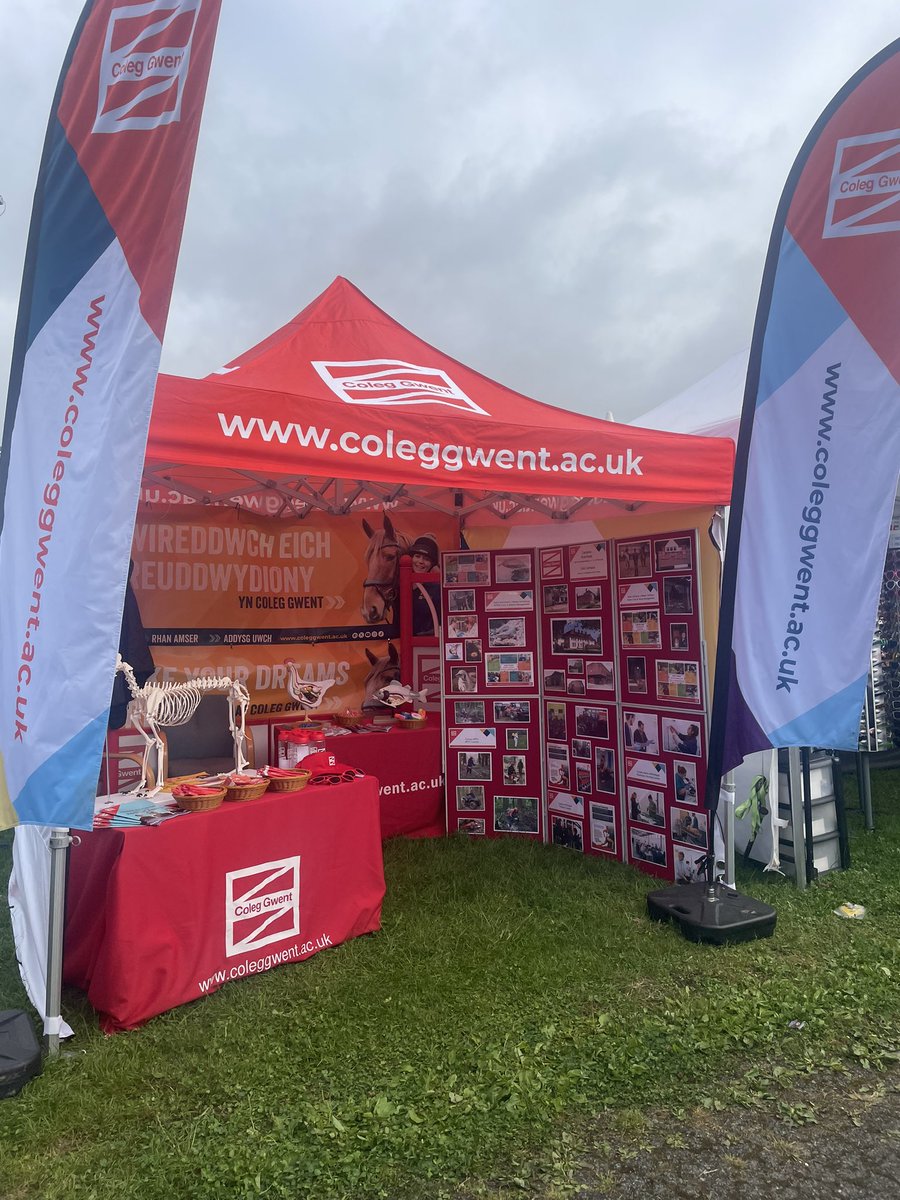 Mitchell Rees tweet media