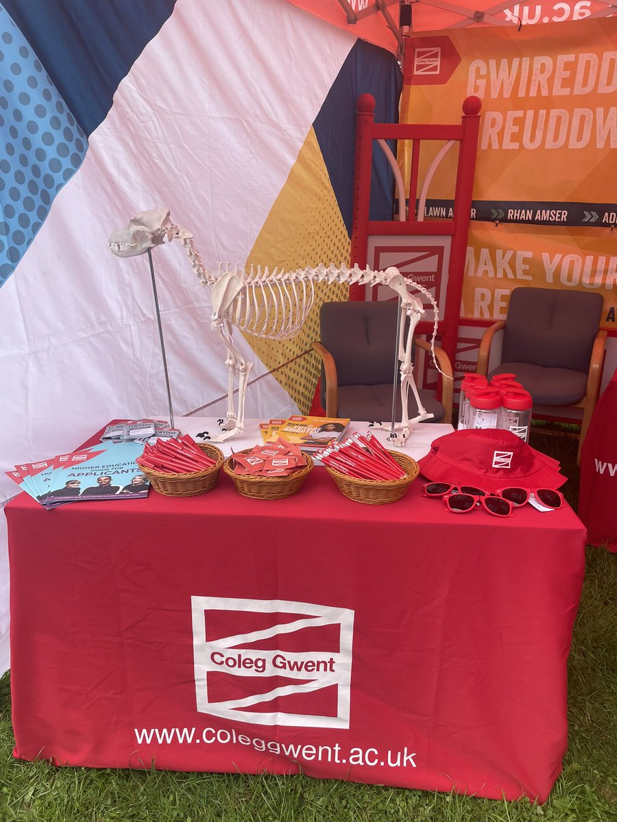 Mitchell Rees tweet media