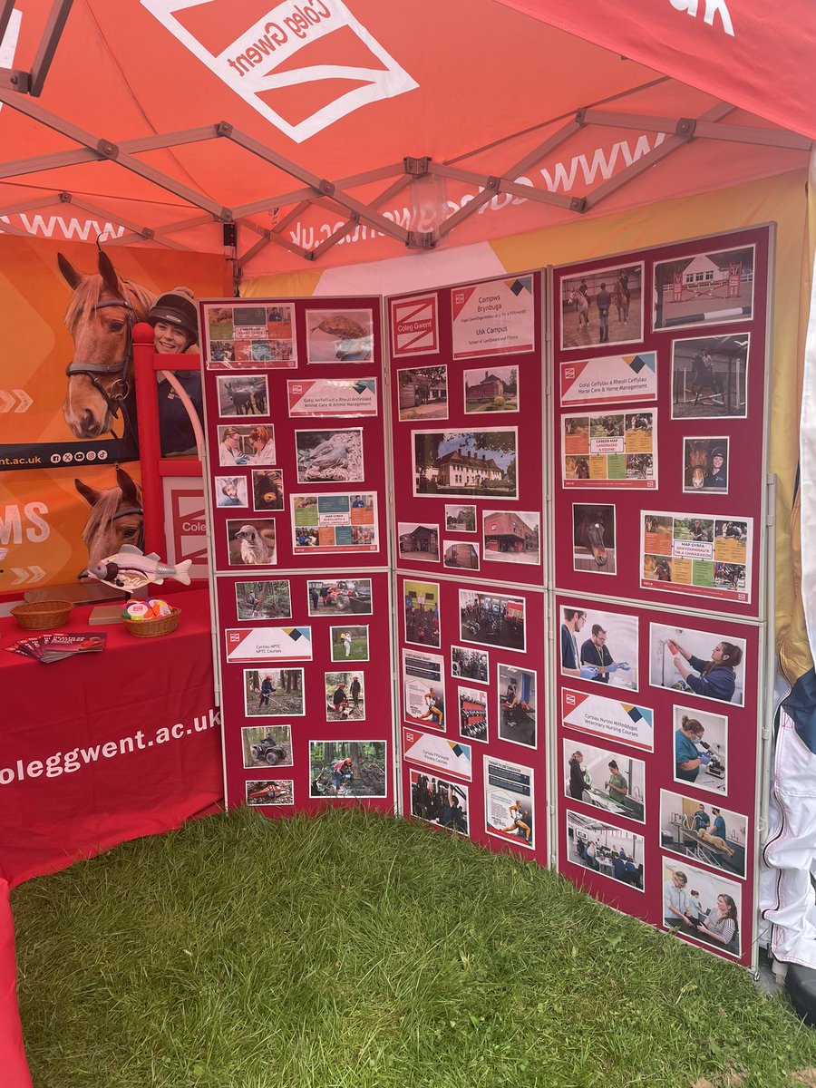 Mitchell Rees tweet media