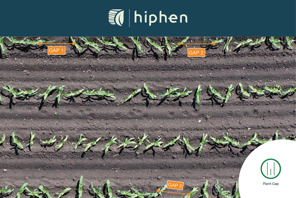 𝐆𝐀𝐏𝐒 &amp; 𝐂𝐎𝐌𝐏𝐄𝐓𝐈𝐓𝐈𝐎𝐍 𝐀𝐒𝐒𝐄𝐒𝐒𝐌𝐄𝐍𝐓𝐒 𝐅𝐎𝐑 𝐀 𝐃𝐀𝐓𝐀-𝐃𝐑𝐈𝐕𝐄𝐍 𝐀𝐏𝐏𝐑𝐎𝐀𝐂𝐇 - 𝐀 𝐅𝐔𝐋𝐋𝐘 𝐀𝐔𝐓𝐎𝐌𝐀𝐓𝐄𝐃 𝐒𝐄𝐑𝐕𝐈𝐂𝐄 𝐓𝐇𝐀𝐓 𝐑𝐔𝐍𝐒 𝐑𝐎𝐔𝐓𝐈𝐍𝐄𝐋𝐘

calendly.com/d/gtn-s8d-6fh

#plant #phenomics #plantbreeding #agtech