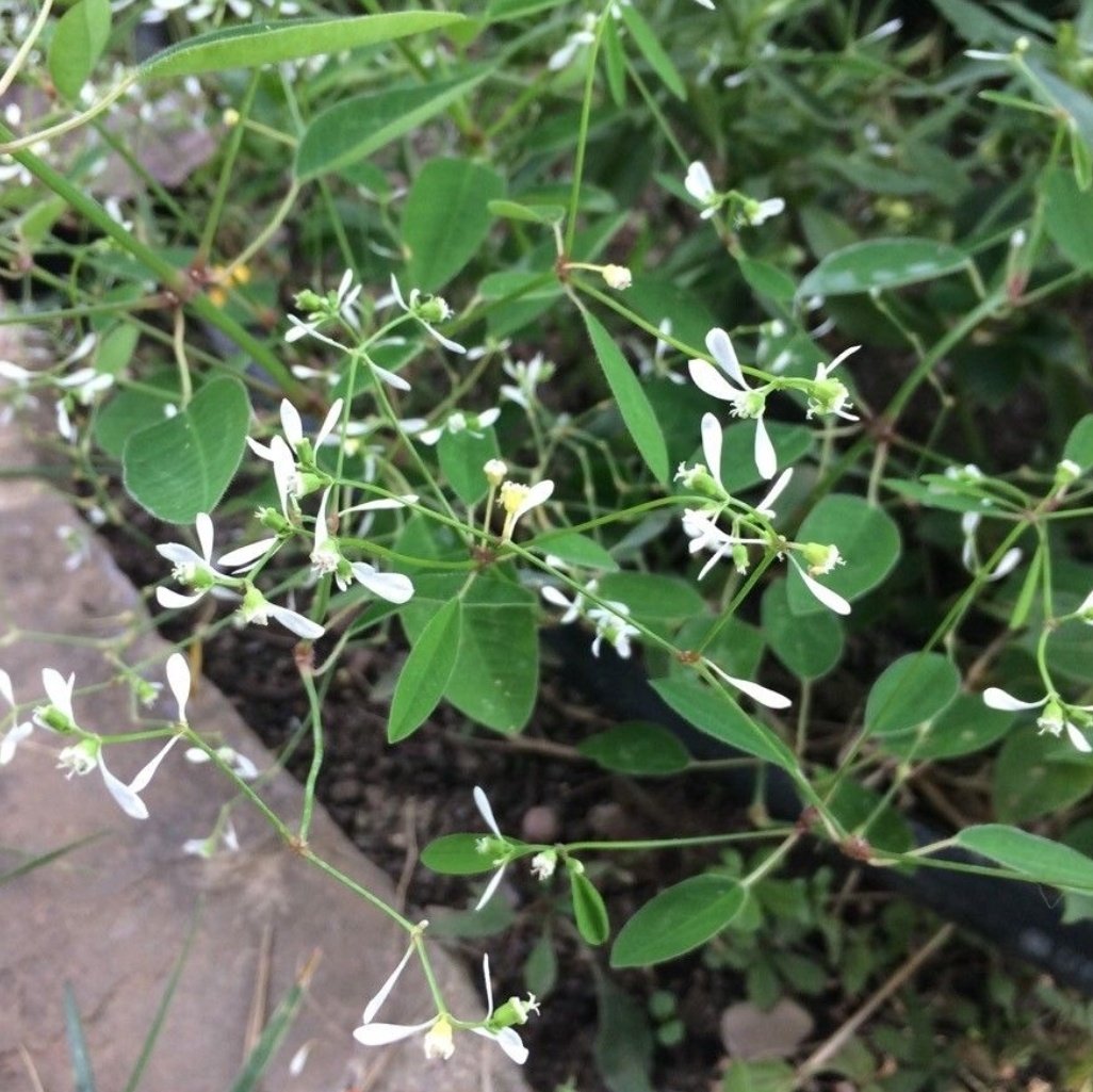 Instead Of Doing Anything For “Likes”.  Do Everything For Your Happiness.  There’s More Power There - Jeffrey Howard