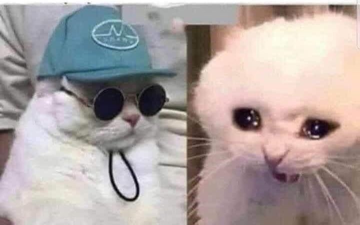 Dr_Meming's tweet photo. Me thinking it’s a good idea to write a paper vs me actually writing the paper https://t.co/77IyfnHi7S