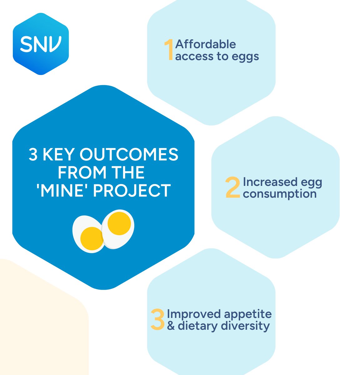 The Market-based Innovation for Nutrition in Ethiopia (MINE) project aims to ensure every child has access to nutritious food by boosting local egg production and consumption🥚.

Learn more about the project's impact👉snv.org/project/market…