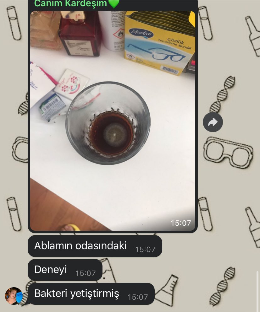 ben bardağı nasıl unuttum bunun olması için en az 5 gün lazım hiç mi makyaj masama gitmedim bardağı nasıl görmedim 🙈 inkübatörde böyle güzel koloni düşmüyor bu da bir başarı bence yoksa ıyy bana 🤢