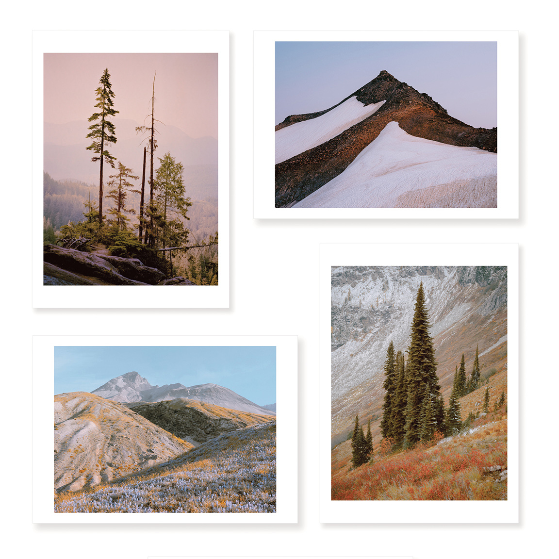 Another Place Press tweet media