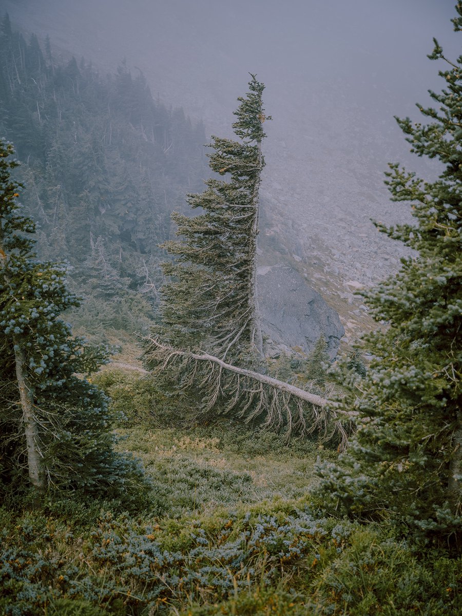 Another Place Press tweet media