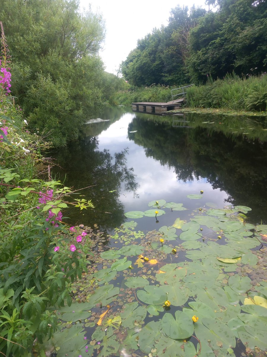 monty fuk tweet media