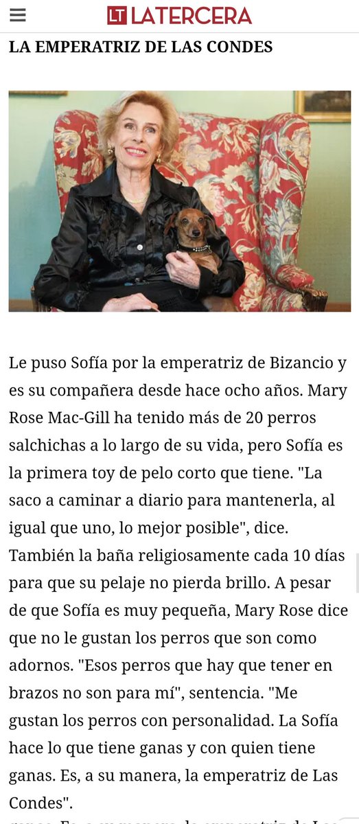 Salchichas_cl's tweet photo. A propósito del fallecimiento de Mary Rose Mac-Gill (QEPD), ¿Sabían que era una #salchilover? 🐶🌭
#maryrose #maryrosemacgill #qepd #murió #perrosalchicha #perrossalchichas #dachshund #teckel #sausagedog https://t.co/0dGfvFInJf