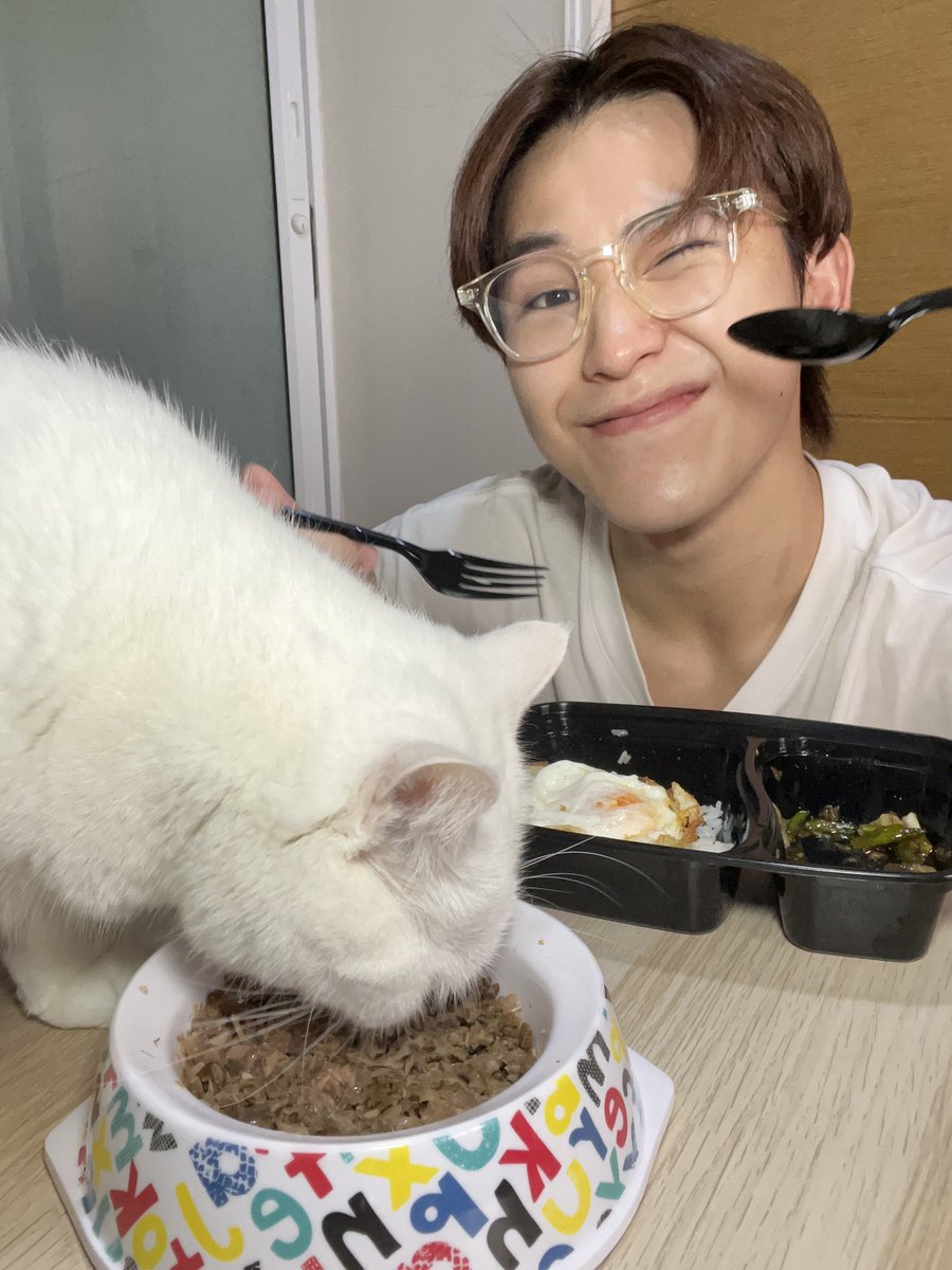 piyangkull's tweet photo. เมื่อทั้งคนทั้งแมวเบื่ออาหาร ให้เปิดเพลงนปโปะตอนกินข้าว🤣  #แมวดื้อของเฟิร์ส #firstpiyangkull https://t.co/1AuN45728n