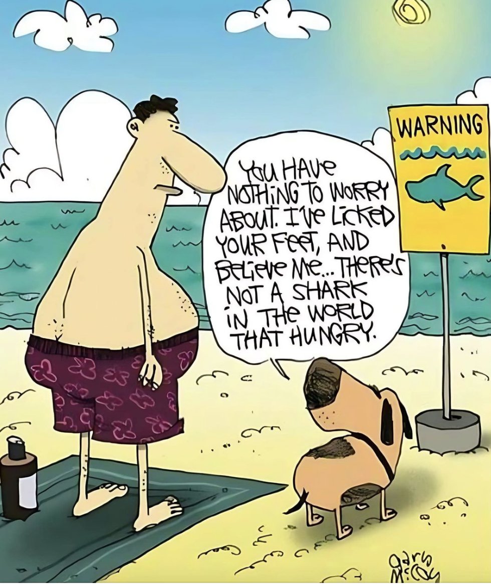 rising_rooted's tweet image. Monday, fun day (: #LaughterIsGood