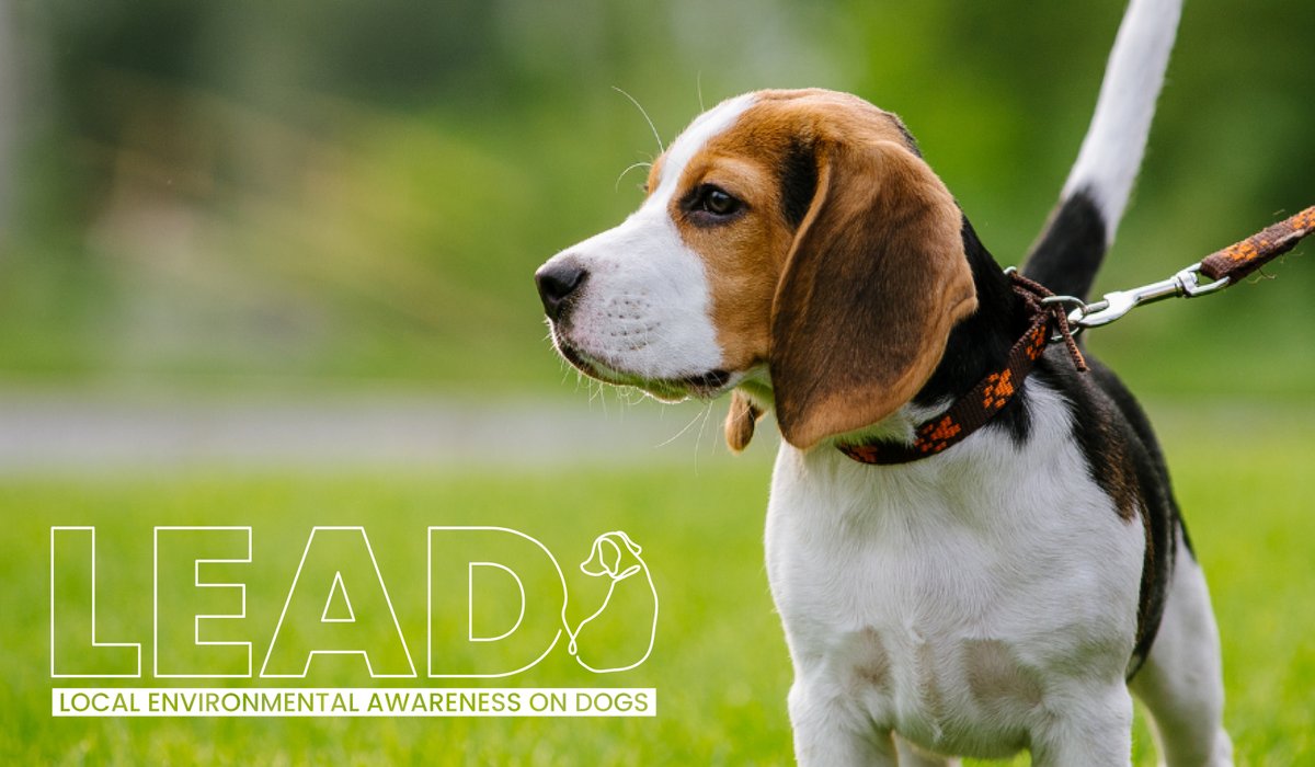 gwentpolice's tweet image. 🐶 Responsible dog ownership initiative (LEAD) goes Gwent-wide. 🐶 

👮 We're pleased to say that LEAD (Local Environmental Awareness on Dogs) has now been brought to #Newport, #Monmouthshire, #Torfaen and #BlaenauGwent.

orlo.uk/2rdQK