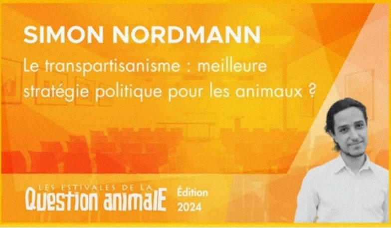 Insolente Veggie 🧠🐦⬛ tweet media