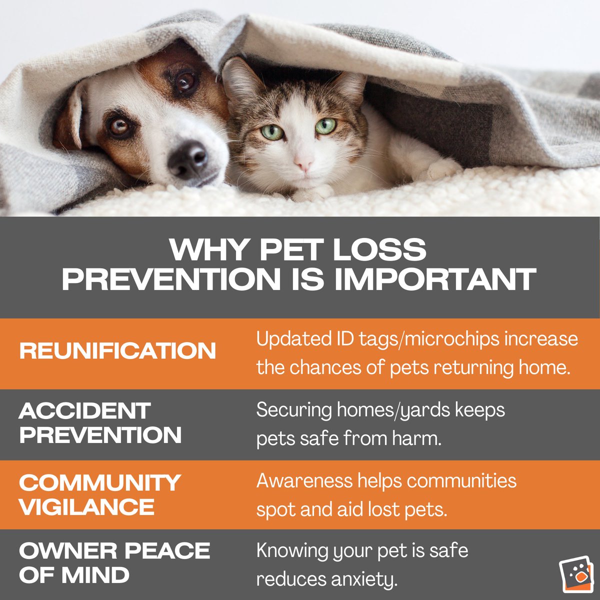 July is National Lost Pet Prevention Month! This month is vital for focusing on ways to keep our beloved pets safe and secure. From updating ID tags to securing our homes, let's take action and spread awareness together. 🐶🐱❤️ #LostPetPrevention