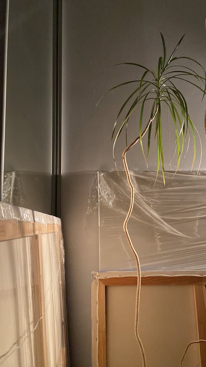 never betray your tune.