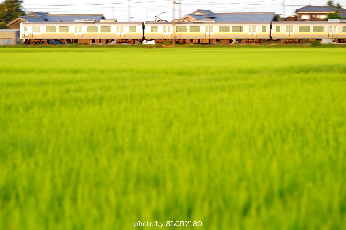 _SLC57180's tweet photo. SEL135F18GMの試写。
流し撮り。どちらもSS 1/30sec

2024.7.22 越後線
1枚目1671M
2枚目163M

#流し撮り #ギラリ #sonyalpha #ILCE9
#SEL135F18GM https://t.co/X8fh4qfIW4