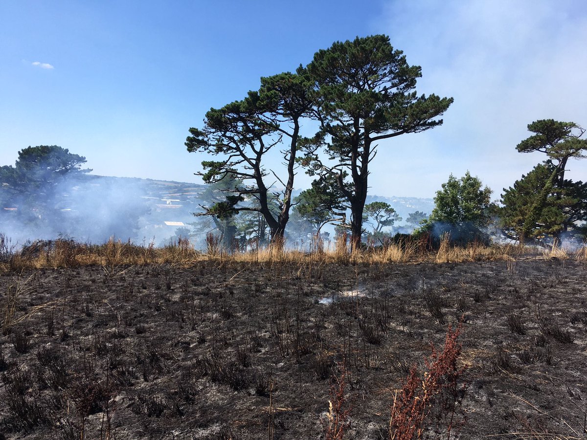 Cornwall Fire and Rescue Service tweet media