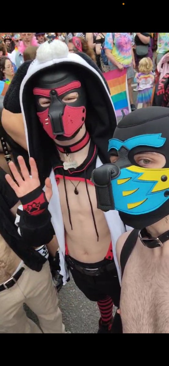 Had a lovely pride with some lovely pups ❤️