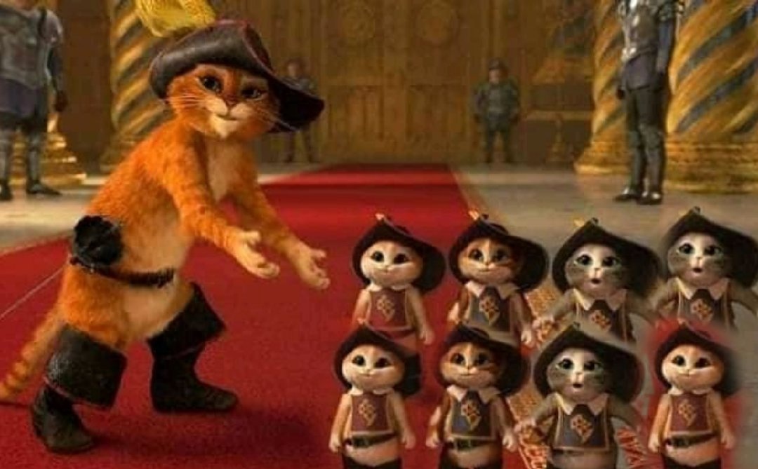 Dani is so Old | VAI VER O SKZ tweet media