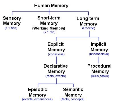 ScholarshipfPhd's tweet image. Human Memory