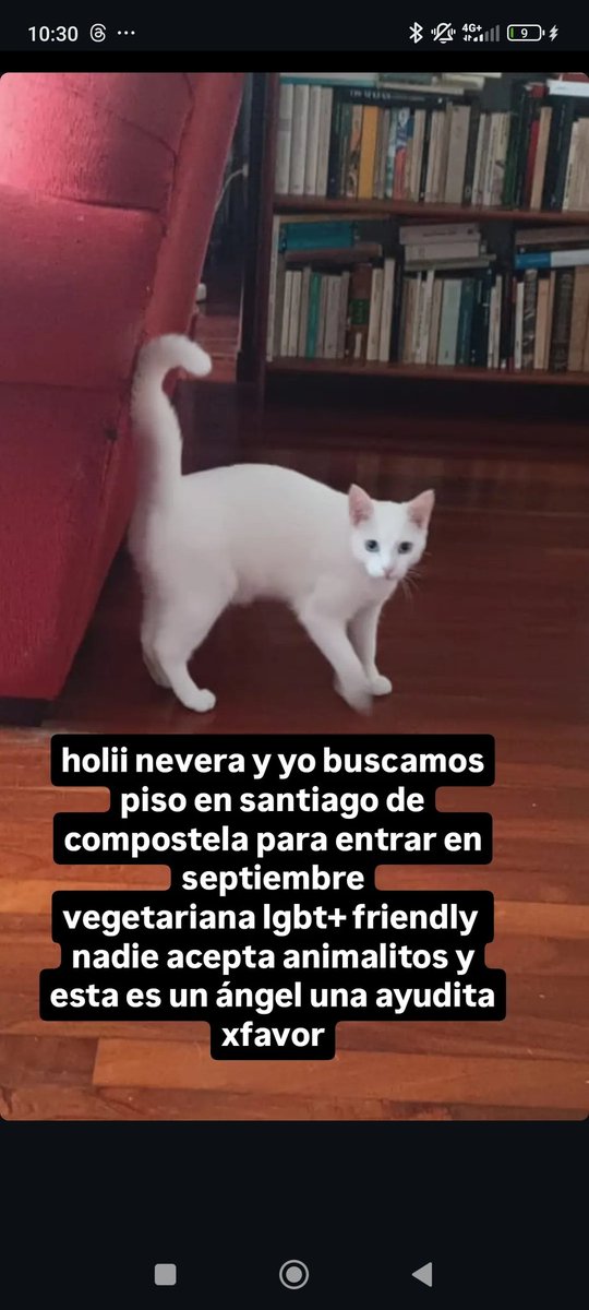 busco piso en santiago de compostela si sabéis de algo o queréis una compañera que os cocine y regale pegatinas soy la indicada