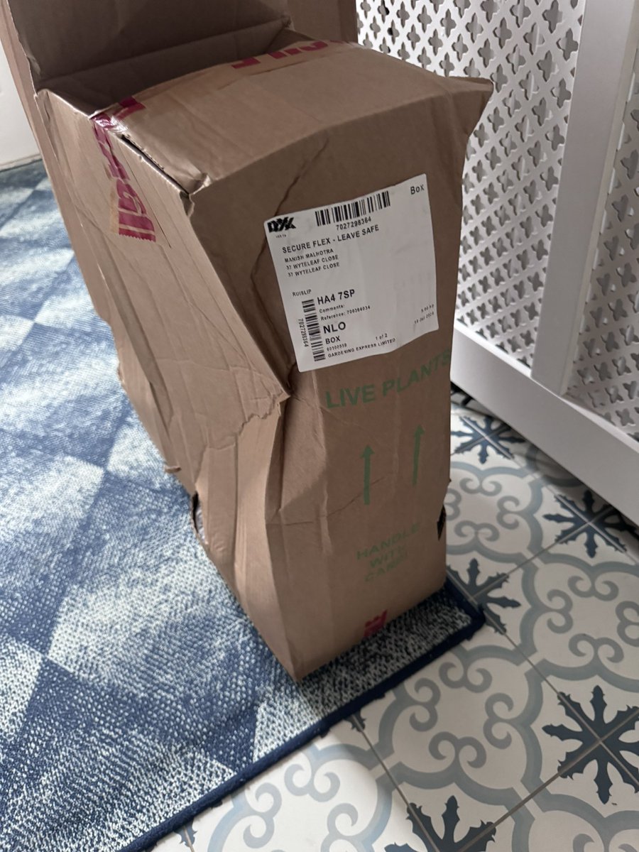 do_msm's tweet photo. @GardeningExpres Terrible delivery. 
I did not expect such a poorly delivered set of plants and I hate that I place the order, I pay, I wait and then I am disappointed! Contact me please - I would like a refund ASAP. https://t.co/Krx5RZ1sSi