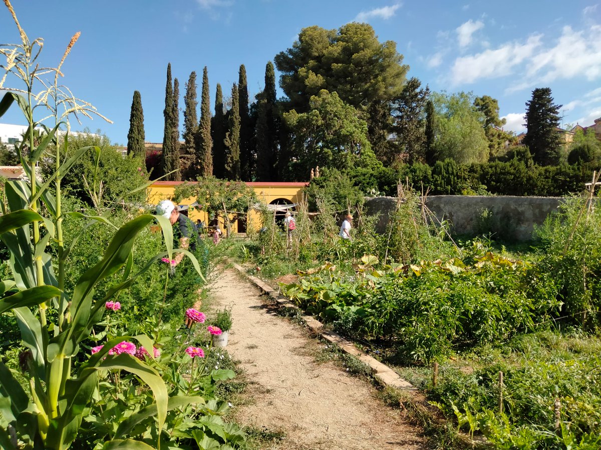 ajcubelles's tweet photo. 🌞 Vine a conèixer l’hort de Can Travé de Cubelles a la jornada de portes obertes!
🌱 Activitat per totes les edats, obert a famílies amb infants. No cal inscripció prèvia.
📅Dimecres 24 de juliol
⏰ de 10 a 12h
#Cubelles #hortcomunitari https://t.co/YnXrgdiZqb