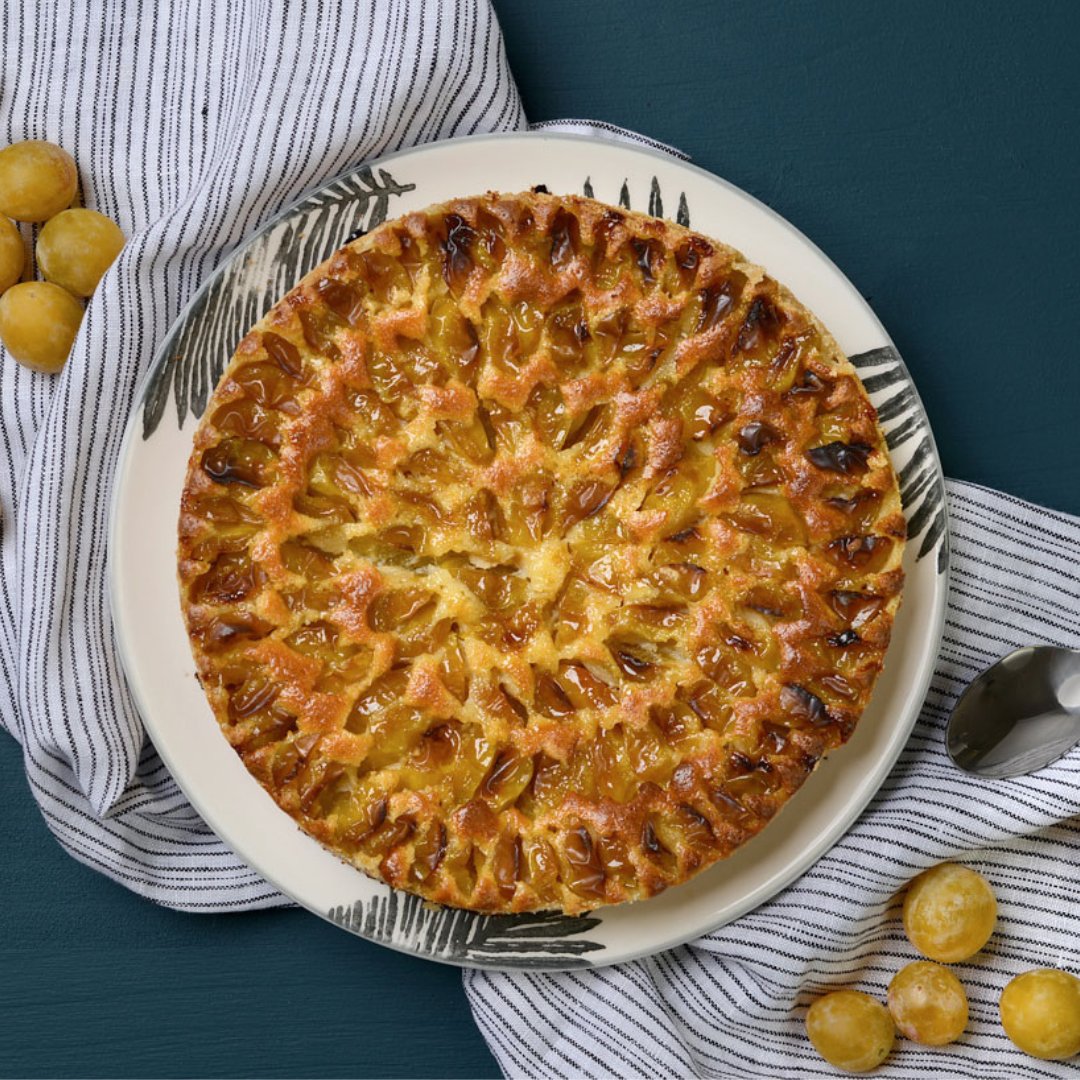 MeilleurduChef_'s tweet photo. Tarte aux Mirabelles 🥧

Un délice sucré et acidulé signé Chef Philippe ! 😋

Cette tarte est parfaite pour un dessert gourmand ou un goûter raffiné. 🍰

La recette avec les ingrédients
👉 https://t.co/TL8eSXesgQ https://t.co/qyrdVTAEji
