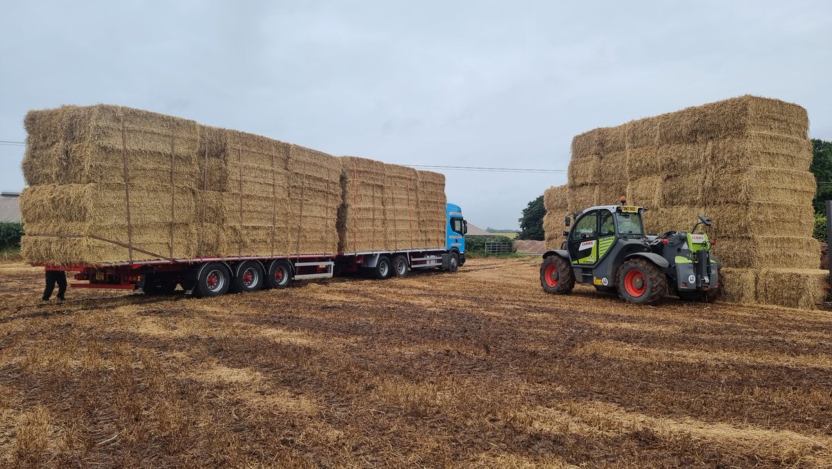 GreenknoweFarm's tweet photo. Baled up before the rain and heading west after a pull and a push out the gate. Summer used to be dry and warm...those were the days🙄 Great straw for someone's stock this winter. @NFUStweets @mydirectdriller @FarmersWeekly @CLAAS_UK #straw #nomorerain #sunshineplease https://t.co/LErsgg8hPw