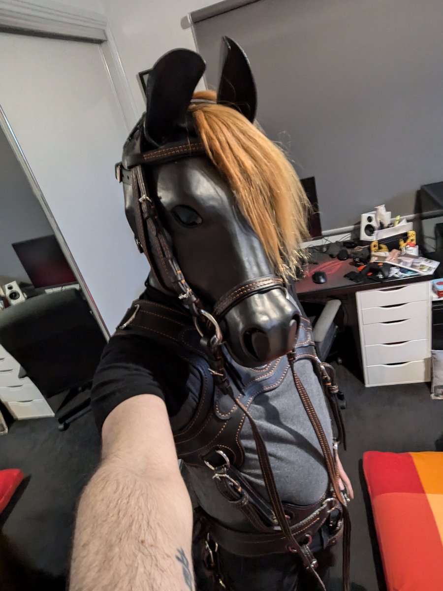 Little sneak peak! Couldn't wait to try it on! 
Thanks again <a href="/BlackPorthos/">Porthos Black Pearl 🐎🏇🏻🏳️‍🌈🇨🇿</a> for making this dream a reality
