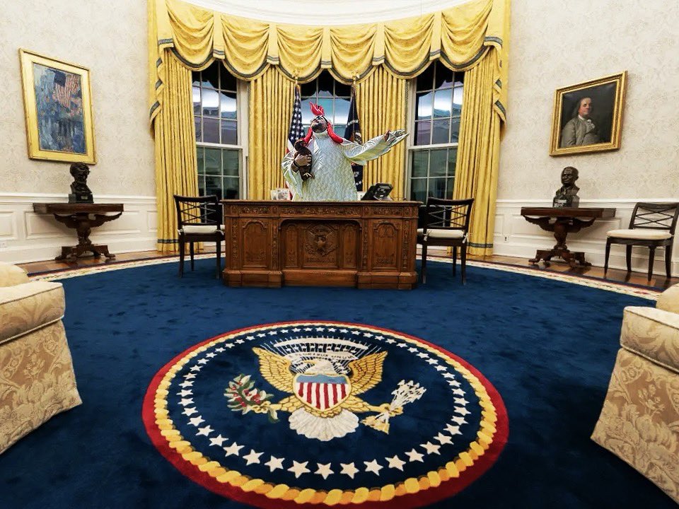 I’m gonna need a different rug 🐔

#Biden #fmcg #culture #chickens #hiring