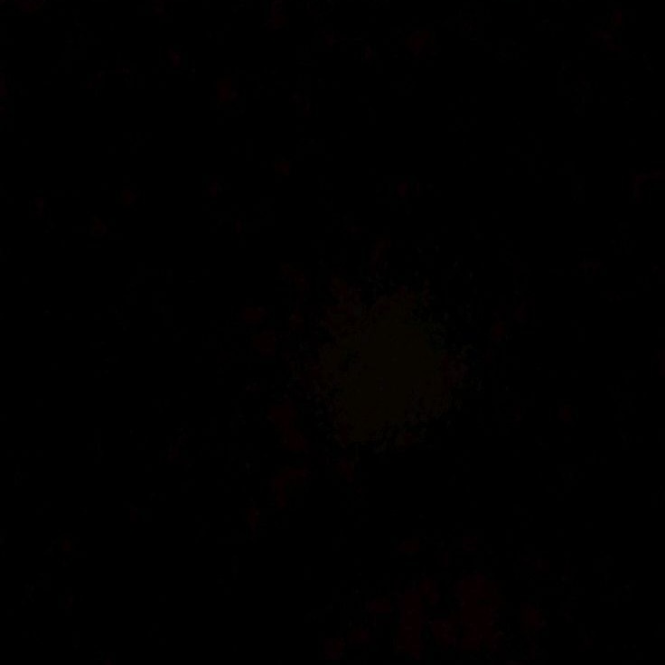 ⠀ᅠ
ᅠ
    ᅠ

ᅠᅠᅠ — Como el villano estuvo desaparecido un buen tiempo, este le tiene un gran 𝙧𝙚𝙜𝙖𝙡𝙤 de compensación a la lectora que espera le haga muy feliz. —