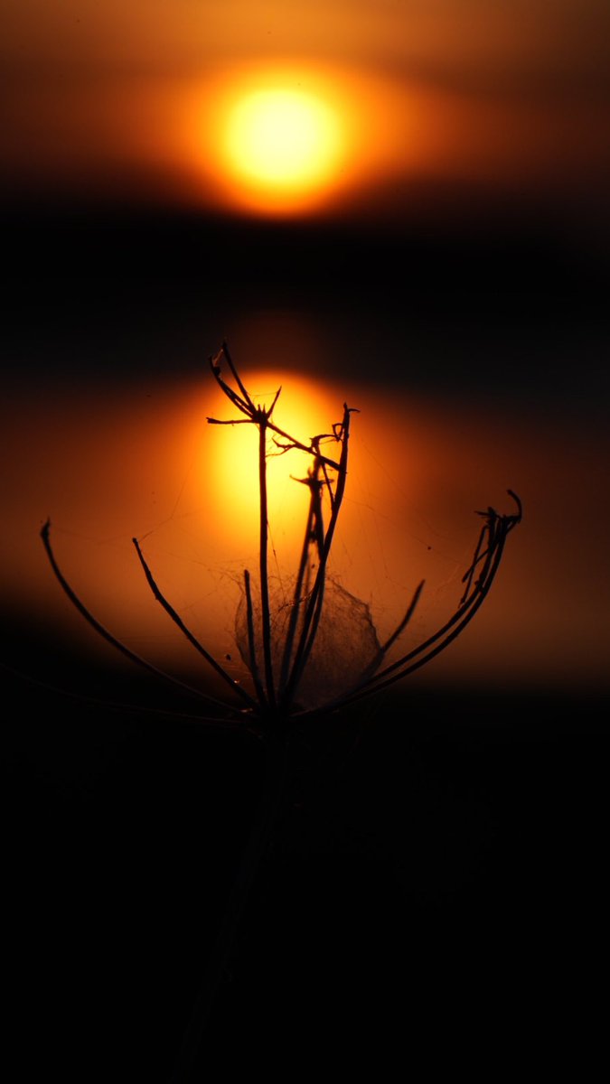 Wow! What a weekend ☀️