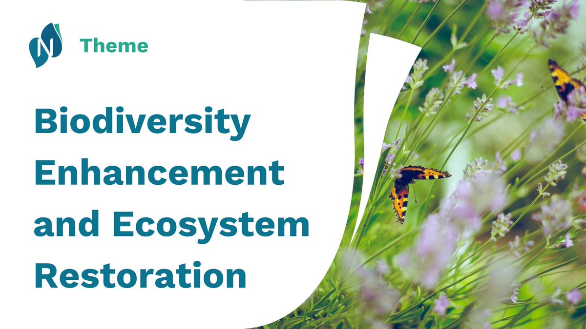NetworkNature (@networknatureeu) on Twitter photo Get to know one of our 6️⃣ priority themes: #Biodiversity enhancement & ecosystem #restoration! Led by <a href="/IUCNEurope/">IUCN European Regional Office</a>, this theme focuses on how NbS support biodiversity, address societal challenges, & provide environmental, social, & economic benefits.
🐞 networknature.eu/themes/biodive… Get to know one of our 6️⃣ priority themes: #Biodiversity enhancement & ecosystem #restoration! Led by <a href="/IUCNEurope/">IUCN European Regional Office</a>, this theme focuses on how NbS support biodiversity, address societal challenges, & provide environmental, social, & economic benefits.
🐞 networknature.eu/themes/biodive…