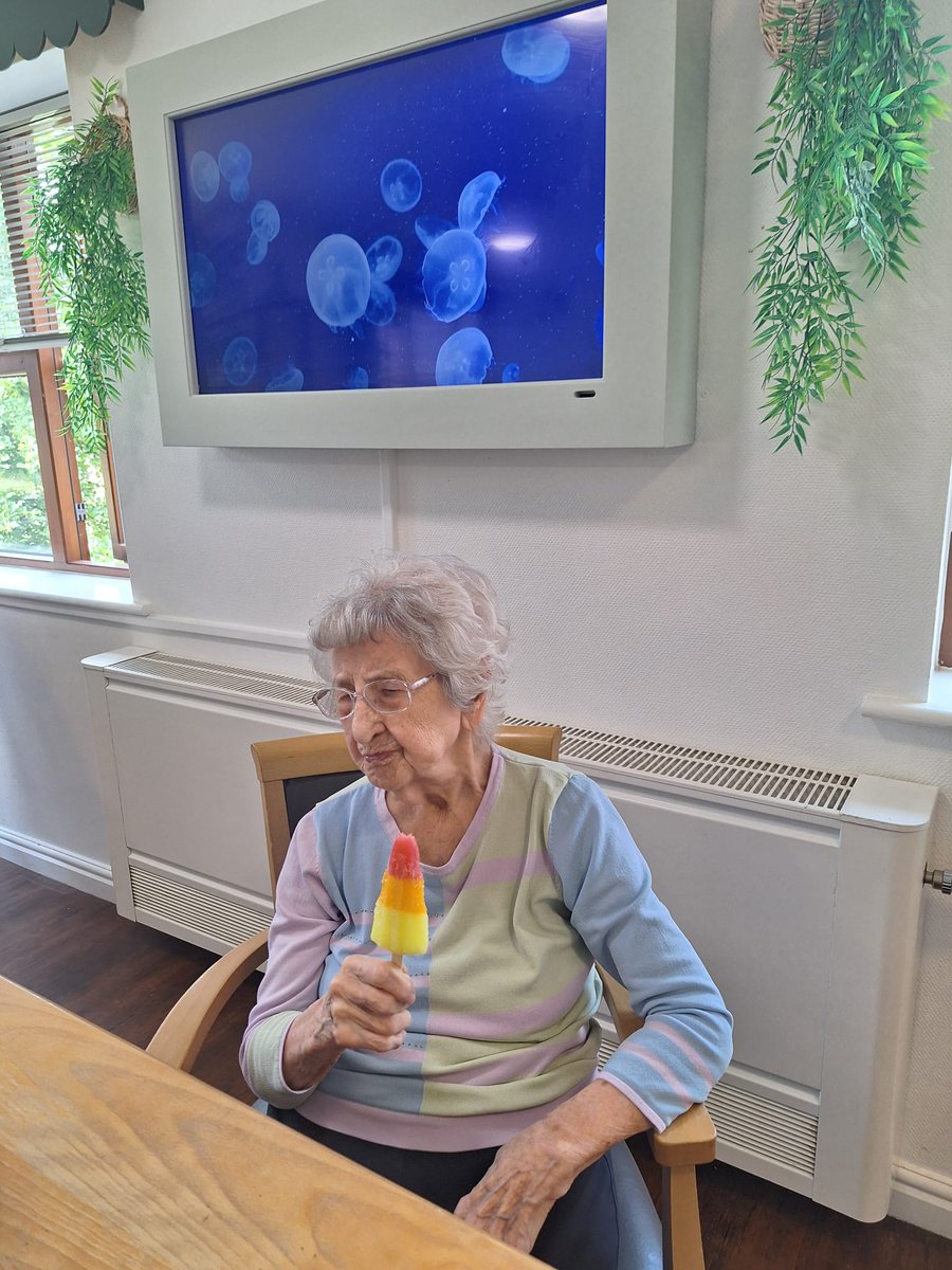WoodsWynyard's tweet photo. On such a hot day we enjoyed ice lollies &amp; ice cream 🍦#summer #wynyardwoods https://t.co/5elU8sLwDE