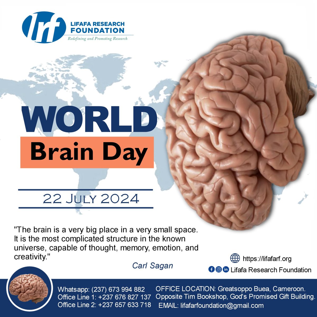 lifafarf's tweet image. Brain Health and Prevention: A Key to Sustainable Mental Wellness

Today, Lifafa Research Foundation joins the entire world to celebrate World Brain Day  under the theme of "Brain Health and Prevention"

#Mentalhealthmatters
#BrainHealthAndPrevention
#LifafaResearchFoundation