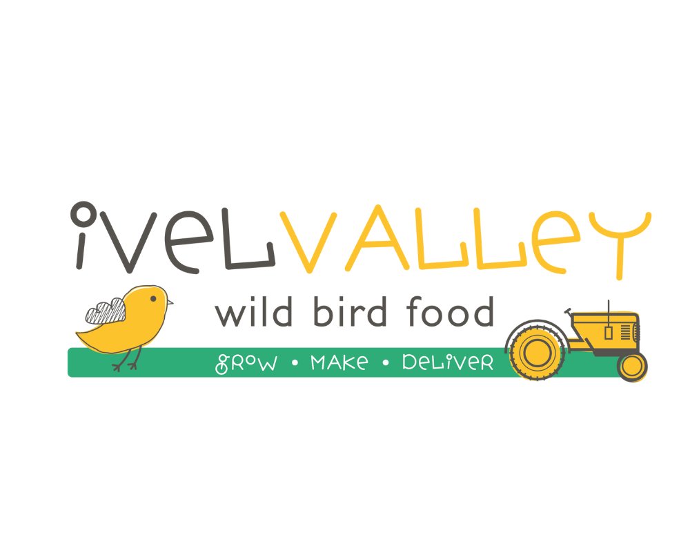 BloggerRequired's tweet image. 🌿 Exciting news! Our new campaign is live with @IvelValleyBirdFood 🦜 Discover premium bird food &amp;amp; wildlife accessories. Join us 👉 [Campaign URL] #birdfeeding #wildlife #bloggersrequired