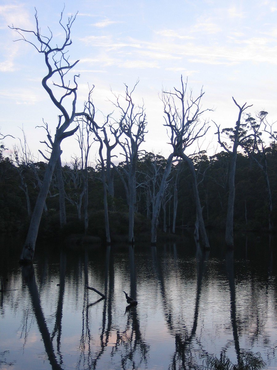 Free Flash Fiction (@fffict) on Twitter photo Driftwood
by
Joel O'Flaherty
<a href="/byjoeloflaherty/">Joel O'Flaherty</a>
#flashfiction
Driftwood made the FFF Competition 20 Long-list
freeflashfiction.com/fiction/driftw… Driftwood
by
Joel O'Flaherty
<a href="/byjoeloflaherty/">Joel O'Flaherty</a>
#flashfiction
Driftwood made the FFF Competition 20 Long-list
freeflashfiction.com/fiction/driftw…