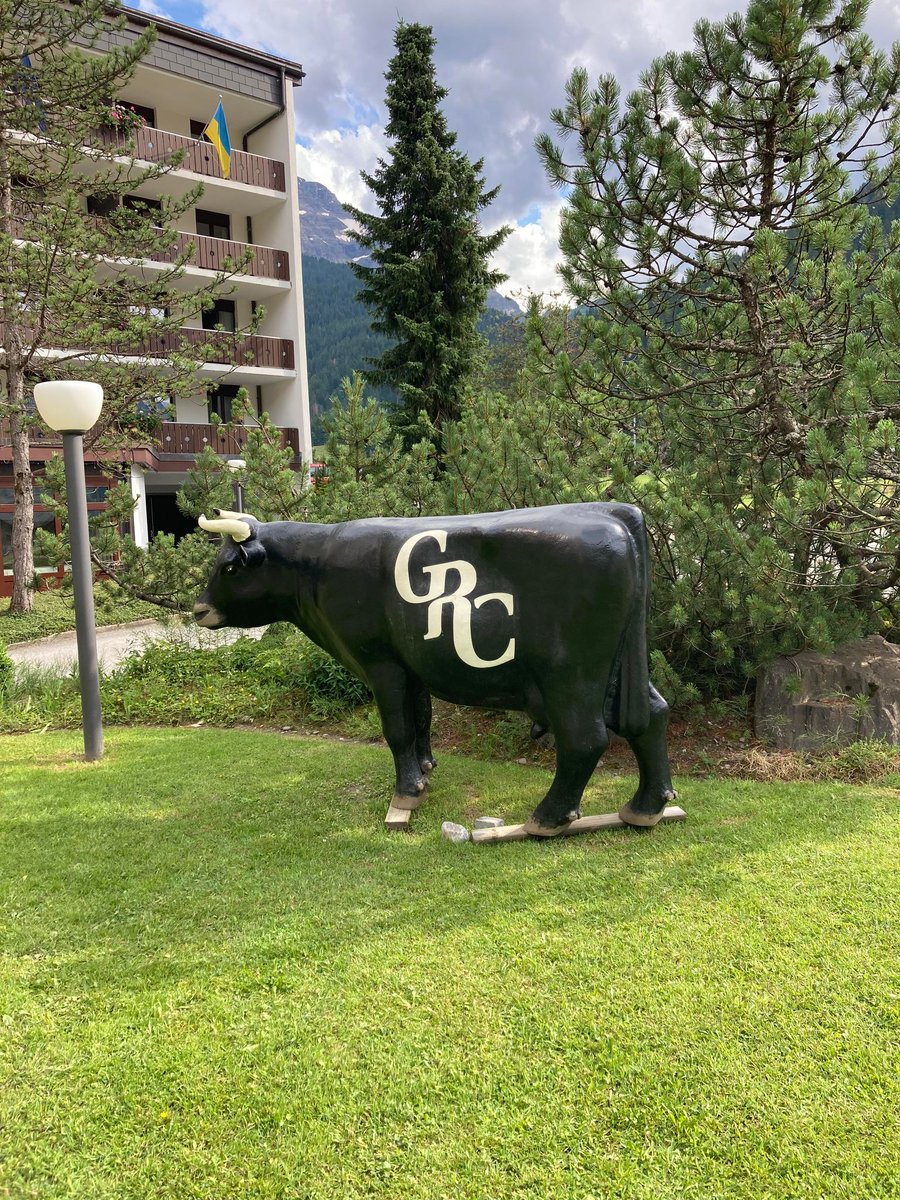 activematterKU's tweet photo. Gordon Research Conference on, 'How Nonlinear Chemistry Shapes our Understanding of Pattern Formation in Non-Equilibrium Systems' held on July 14 - 19, 2024 in Les Diablerets, Switzerland. Prof. Kakugo joined as an invited speaker at the conferences.
#ActiveMatterLab
#Kyodai
#GRC https://t.co/vMe604T095